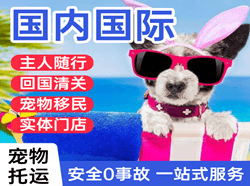烟台机场货运国际宠物托运 【国